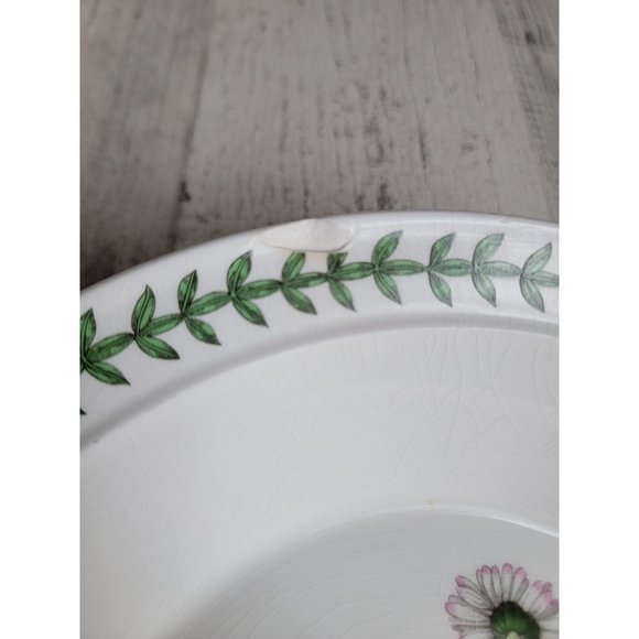 Portmeirion Botanic Gardens AS IS Daisy 8" soup salad bowl - Picture 6 of 9